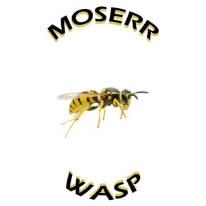 WASP