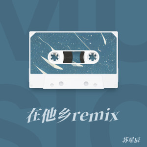 在他乡 (苏星辰 remix)
