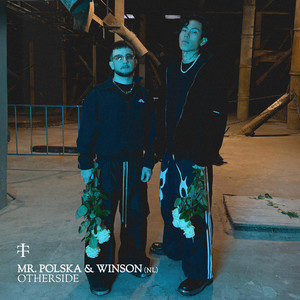 Mr. Polska - Otherside