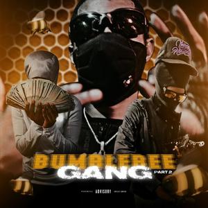 Bumblebee Gang Pt. 2 (feat. Li Rambo, Hopoutblick & Ybcdul) (Explicit)