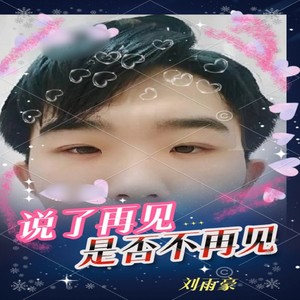 说了再见是否不再见