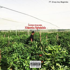 Xikwembu Nghenelela (feat. Krazy-Boy Magaraba) [Explicit]