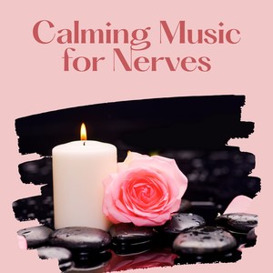 Meditation Music Dreaming - No Stress