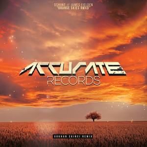 Orange Skies (Gokhan Ekinci Radio Mix)