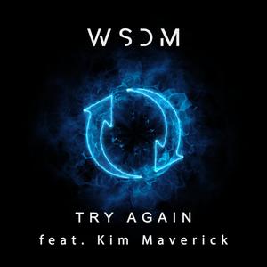 Try Again (feat. Kim Maverick)