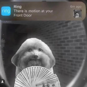 DIRTY HABITZ (Explicit)