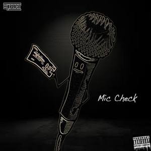 Mic Check (feat. Ends)