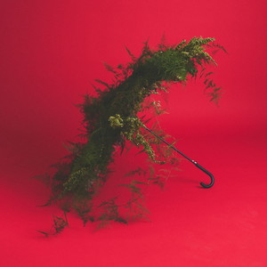 SEROTONIN (oxymosoon Remix)