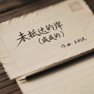 咸咸的『未抵达的岸』