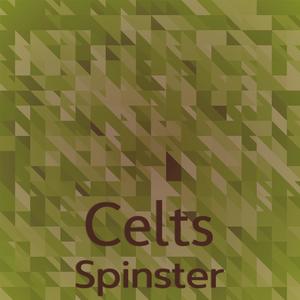 Celts Spinster