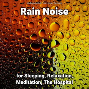 Rain Noise for Sleeping, Relaxation, Meditation, The Hospital