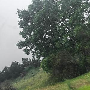 memorylane (Explicit)