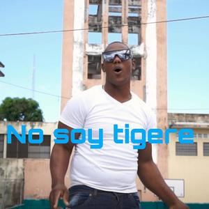 No soy tigere