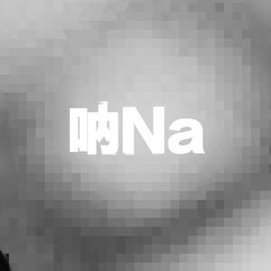 呐NA