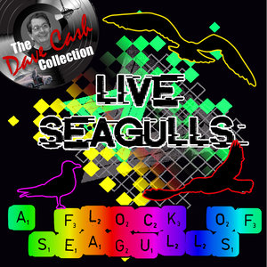 Live Seagulls