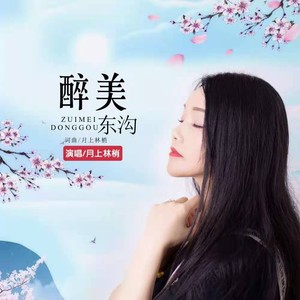 月上林梢 - 一个人旅行伴奏 (伴奏)