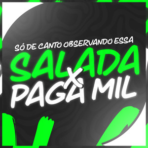 SÓ DE CANTO OBSERVANDO ESSA SALADA X PAGA MIL