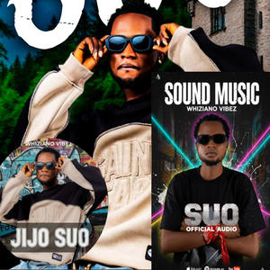 Whiziano Vibez . S U O Official audio afrobeats