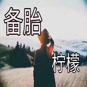 柠檬 - 备胎