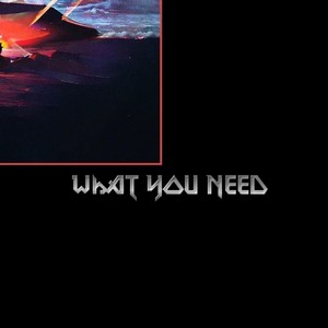 What You Need