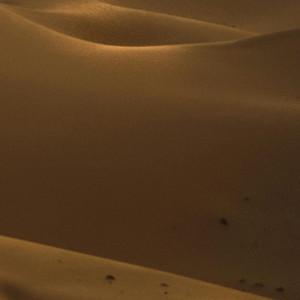 The Hollow Where She Used to Sleep