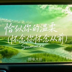 恰似你的温柔(怀念你怀念从前)