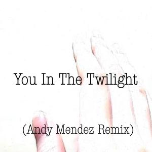 진소람(Jinsolam) - You in the twilight (Andy Mendez Remix)