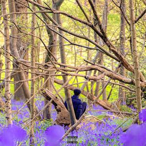 Sweetest Revenge (feat. Sunnyboyfitz) (Explicit)