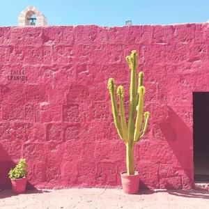 Omarion.C - ◉‿◉