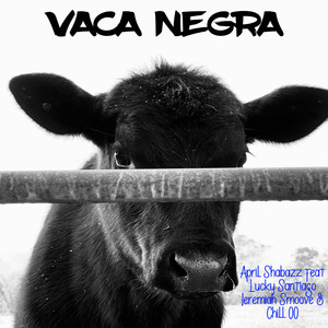 Vaca Negra