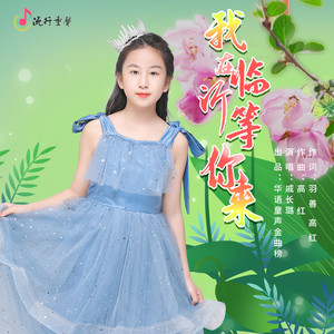 我在临沂等你来