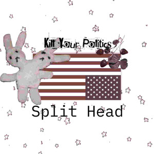 Kill Your Politics