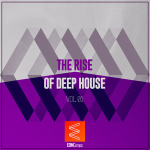 The Rise Of Deep House, Vol. 01