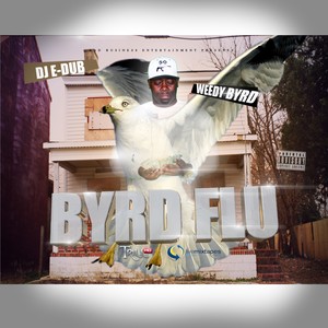 Wouldn't Recommend It