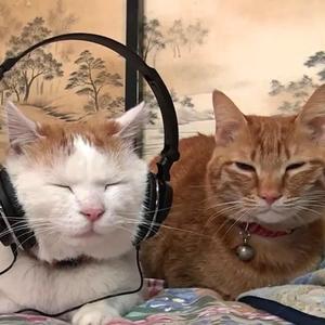 drop out (feat. cld) (Explicit)