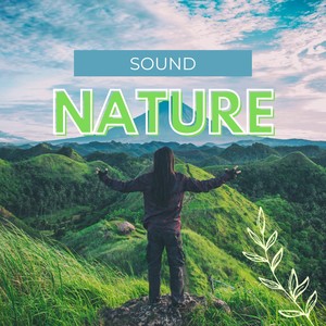 SOUND NATURE