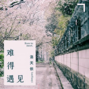 难得遇见 - 洛天依封面