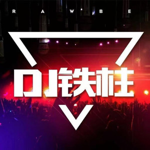 DJ铁柱 - 风吹起落叶 (DJ铁柱版)