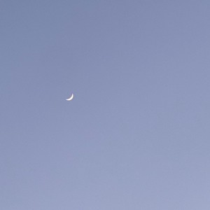 Best Friend (feat. Doja Cat, Jamie & CHANMINA) (Demo)