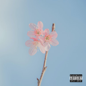 THE FLOOR TURNED INTO LAVA! (Unplugged)