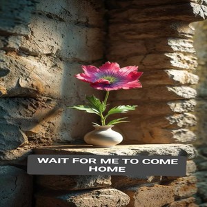 wait for me to come home