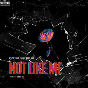 Reb Creezy - Not Like Me (Explicit)