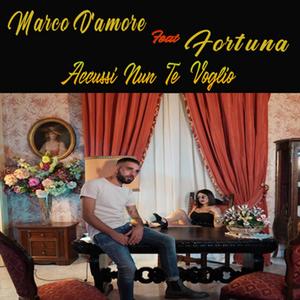 Accussi Nun Te Voglio (feat. Fortuna)