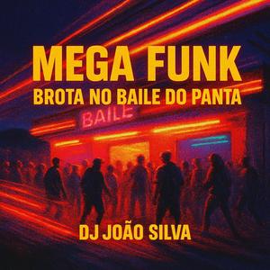 MEGA FUNK BROTA NO BAILE DO PANTA (Explicit)