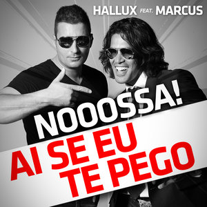 Ai Se Eu Te Pego (Radio Edit)
