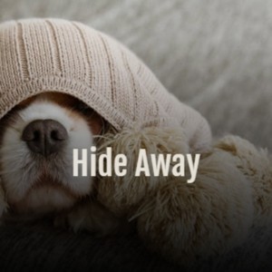 Hide Away