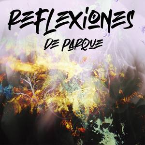 Reflexiones de parque