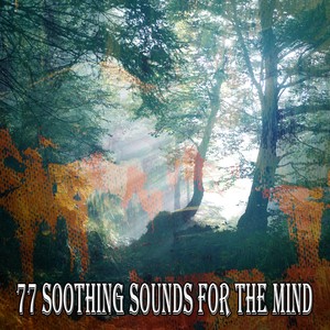 77 Soothing Sounds for the Mind