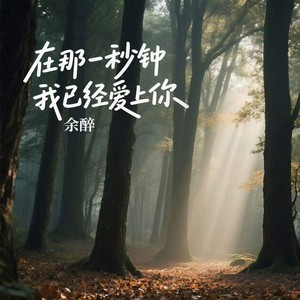 在那一秒钟我已经爱上你