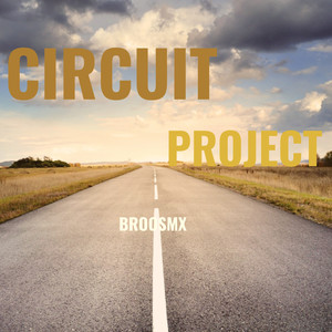 Circuit Project